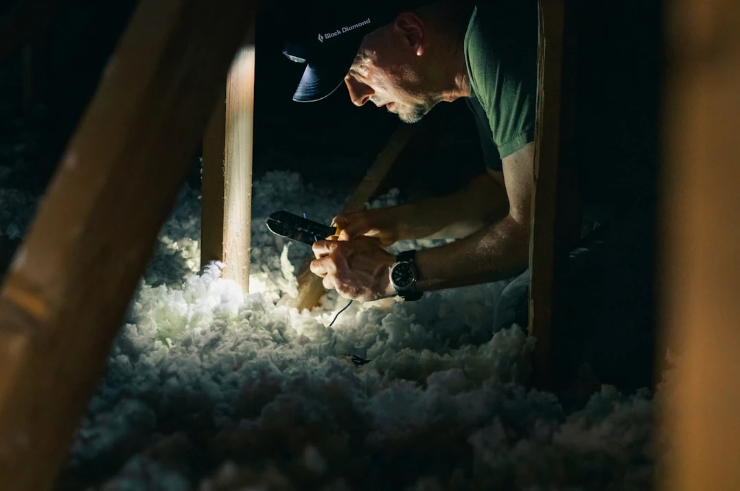 Attic Mold Assessment in Birmingham, AL